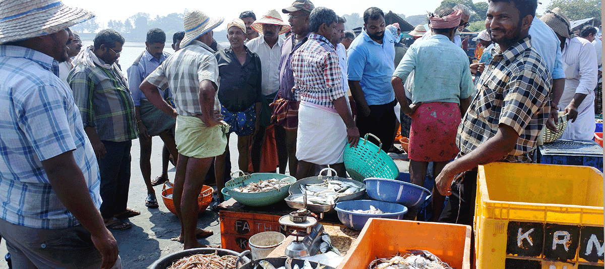 ケララ州カヌールの海辺の青空フィッシュマーケット、魚を買う人々