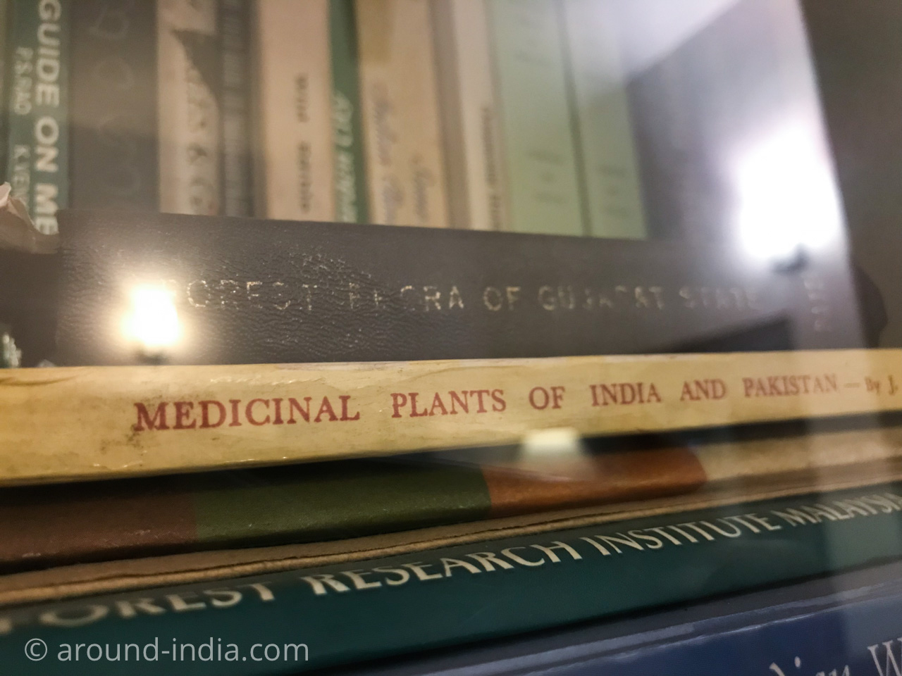Medicinal Plants of India and