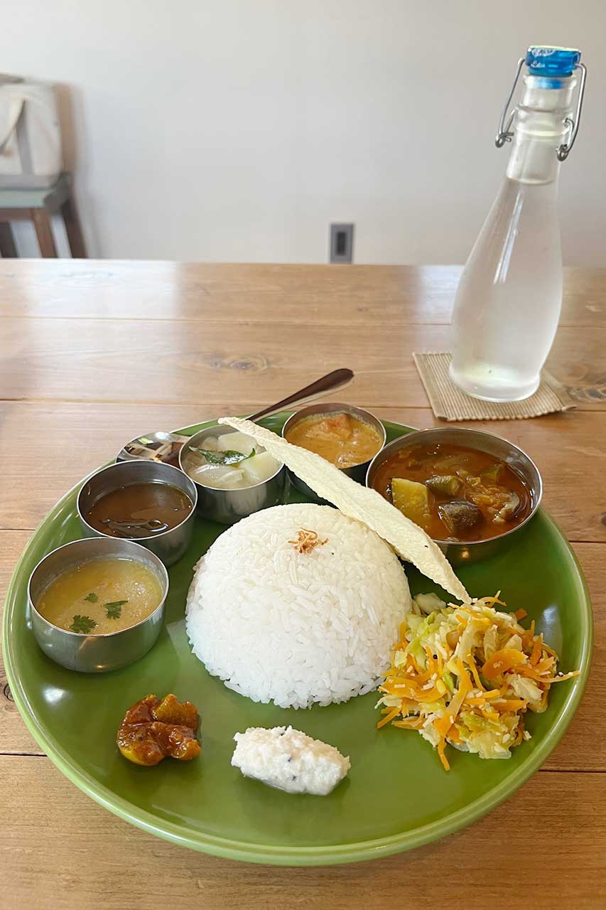 長野の南インド料理モンマルシメ　ミールス
